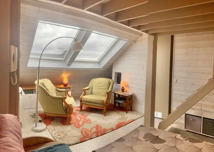 Superbe Studio En Plein Centre Ville