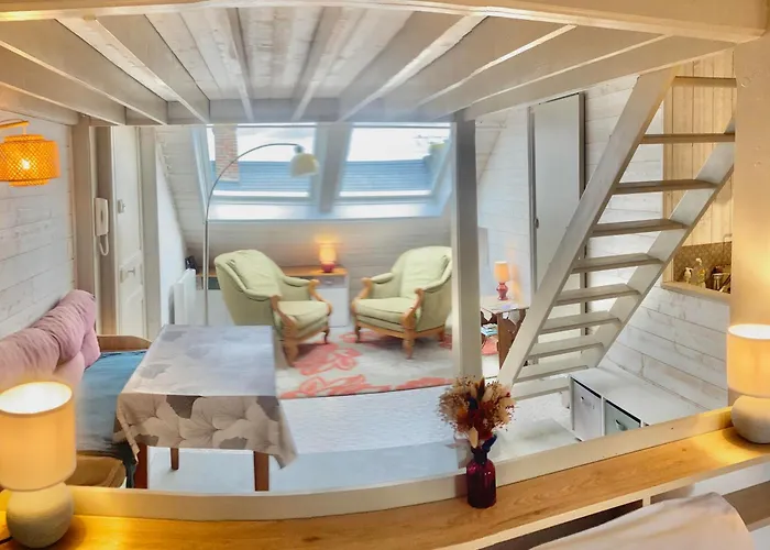 Superbe Studio En Plein Centre Ville